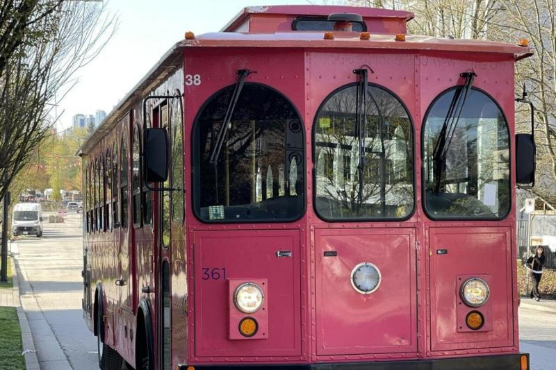 christmas-lights-karaoke-wout-vandusen-5