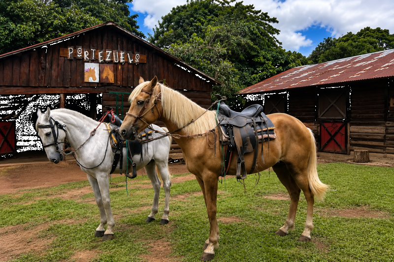 Adventure among Clouds, Horses and Coffee Plantations