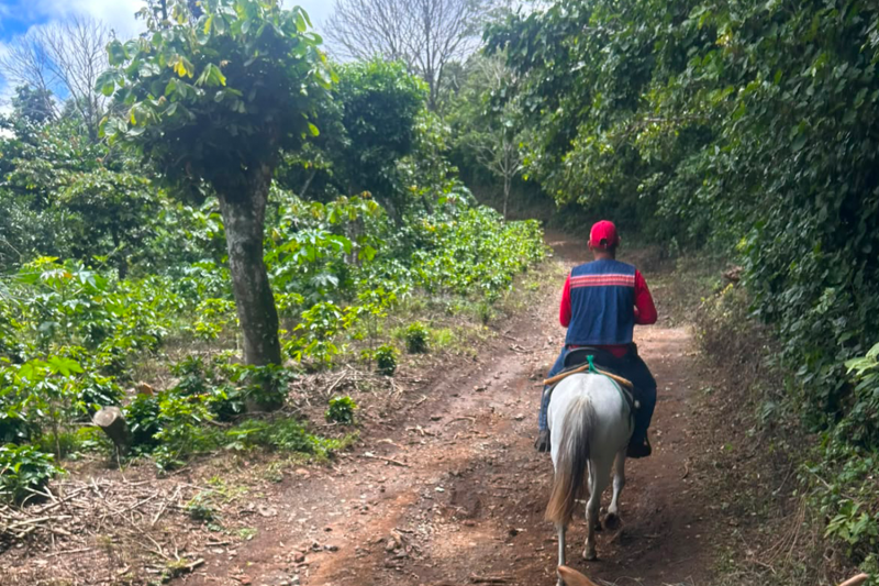 Adventure among Clouds, Horses and Coffee Plantations