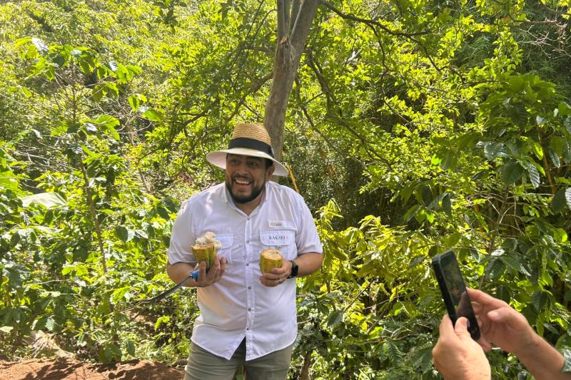 Cacao Route and Flavors of Comasagua: A Sensory Experience at Finca Santa Gertrudis featuring Chocol