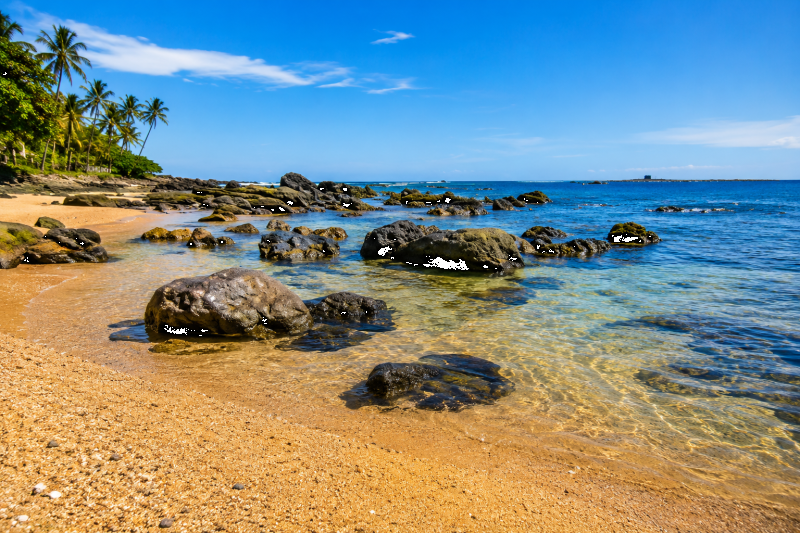 Los Cóbanos Tropical Escape