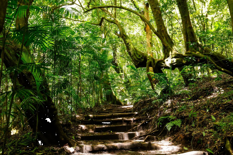 Visit Cerro Verde and the Volcano Lookout Points