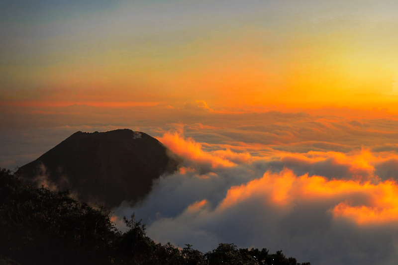 Visit Cerro Verde and the Volcano Lookout Points