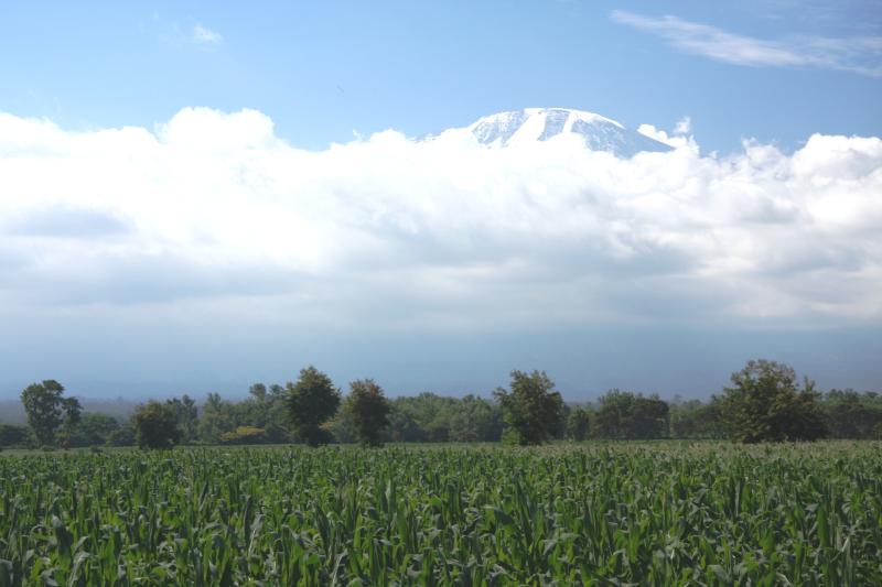 kilimanjaro-machame-trek-5