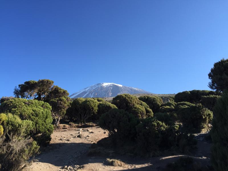 kilimanjaro-machame-trek-6