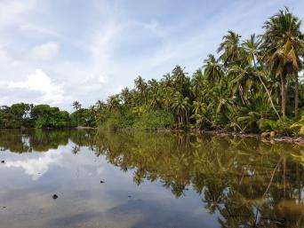 Maldives Island Escape