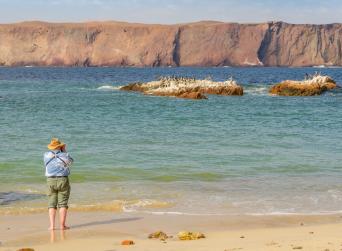 Walking With The Incas