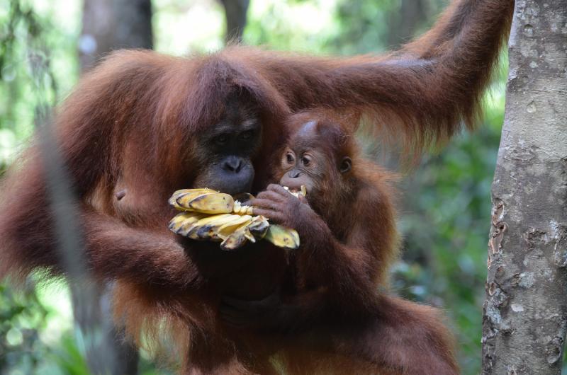 penang-to-singapore-18-days-south-east-asia-high-1