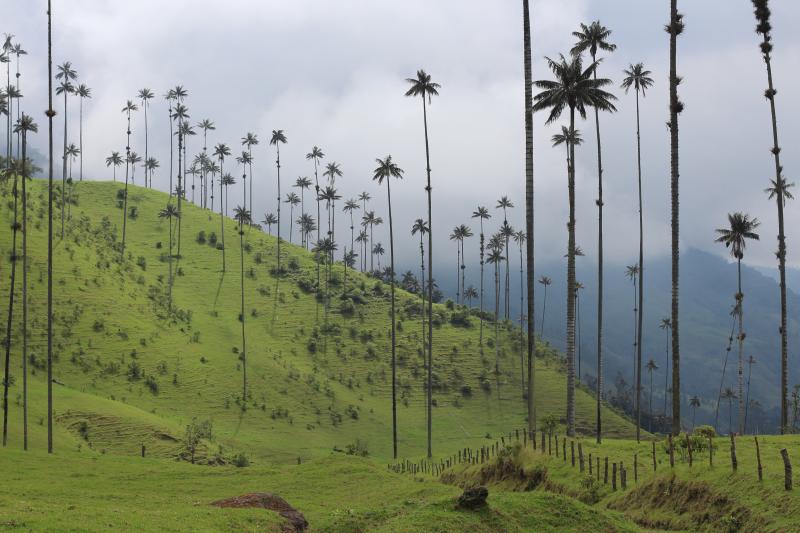 quito-to-cartagena-21-days-colombian-adventure-3