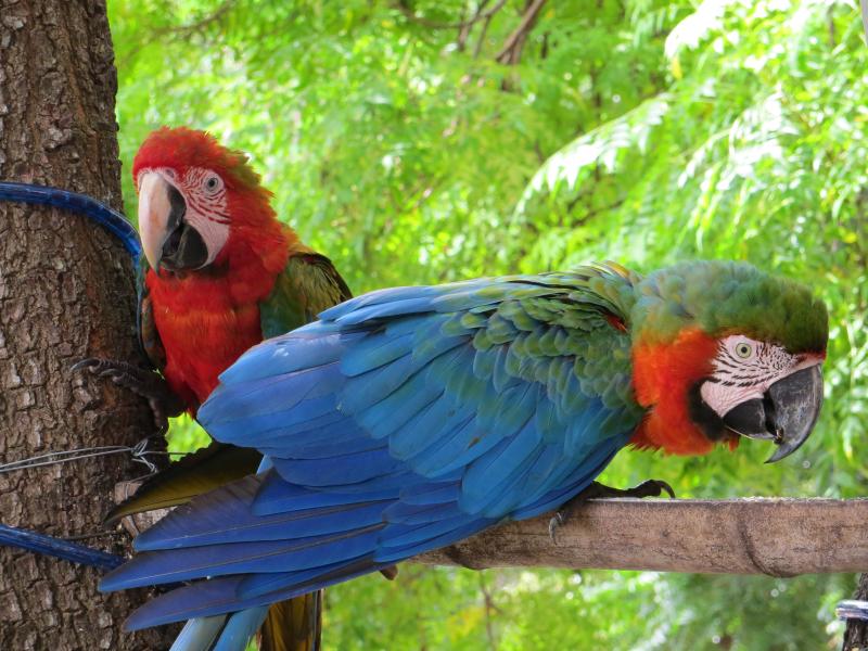 rio-to-buenos-aires-26-days-waterfalls-wetland-1