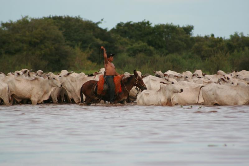 rio-to-buenos-aires-26-days-waterfalls-wetland-4