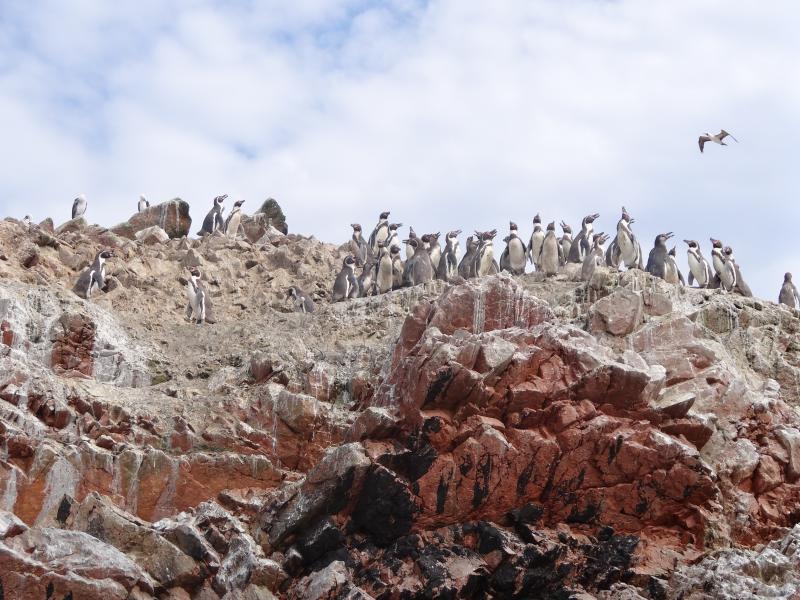 santiago-to-quito-56-days-andes-amazon-4