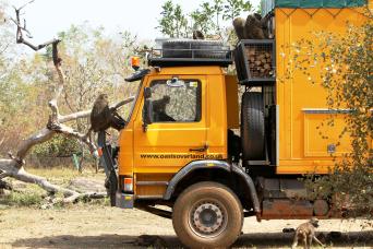 Accra to Cape Town (86 Days) Trans Africa