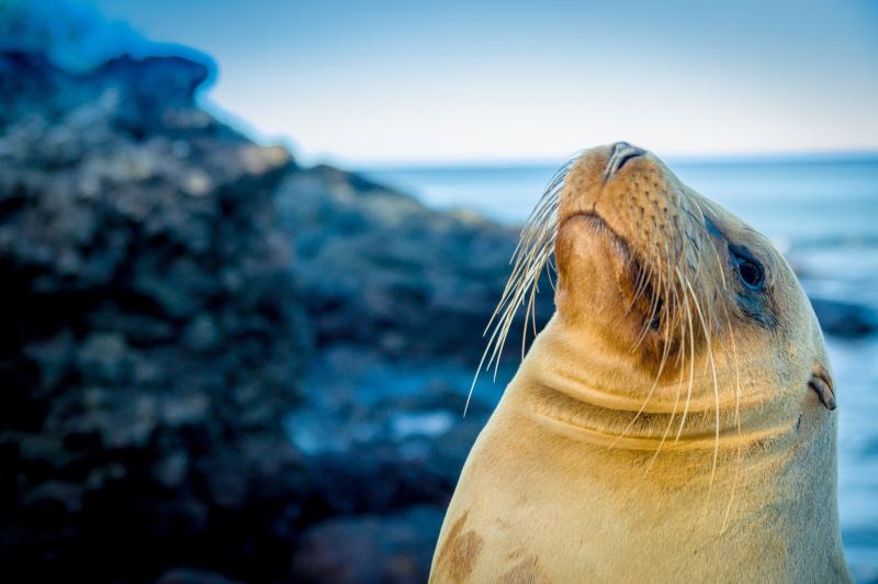 best-of-the-galapagos-5-days-6