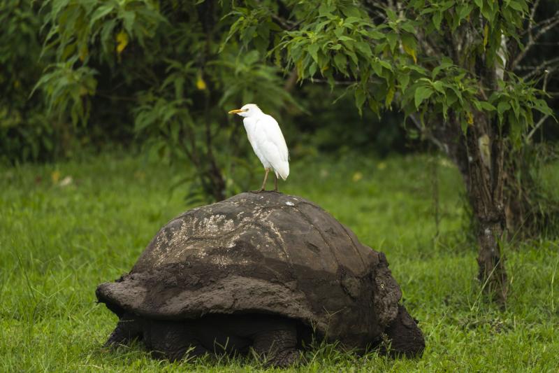 best-of-the-galapagos-5-days-7