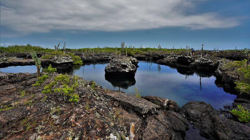 galapagos-essentials-5-days-6