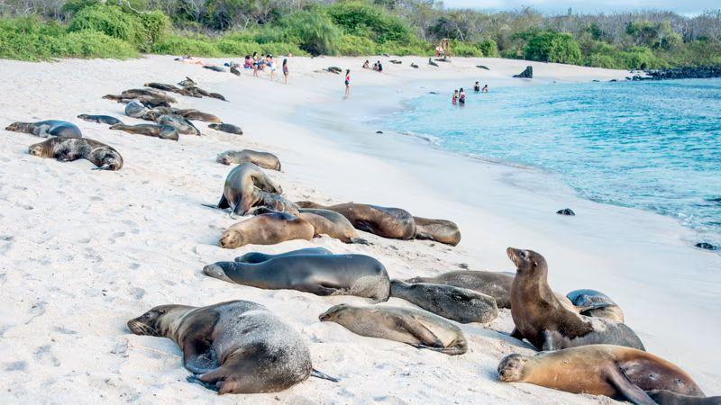 galapagos-uncovered-8-days-1