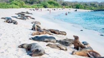 Galapagos Uncovered (8 Days)