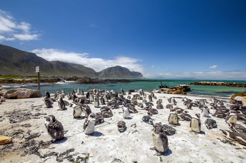 the-classic-garden-route-1
