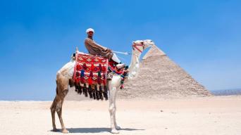 Discover Egypt