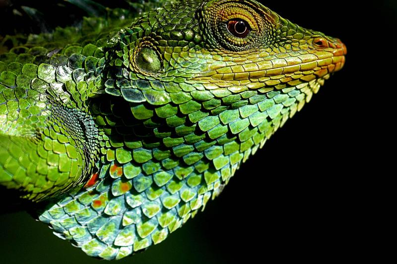 Afghanistan tour packages