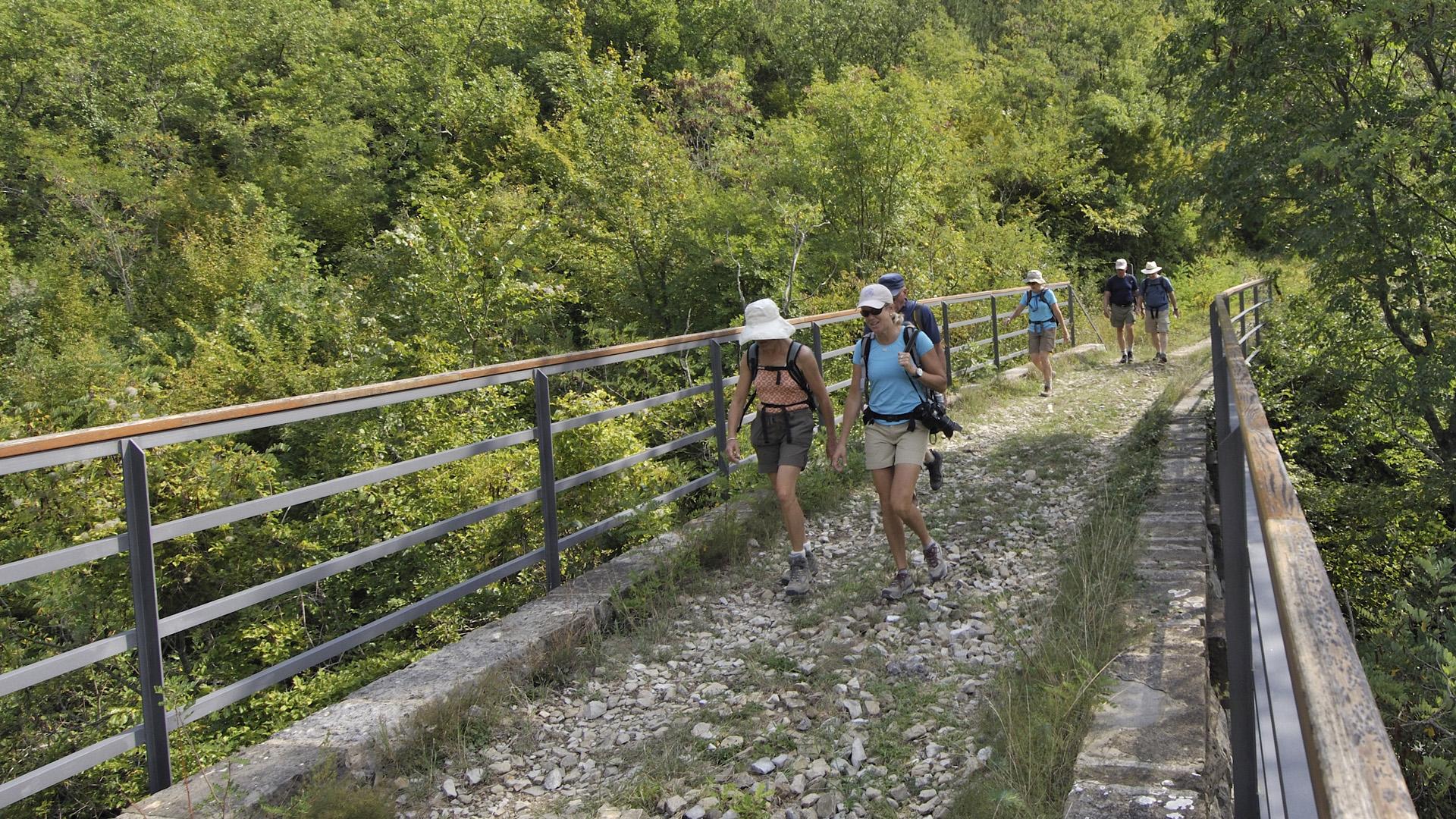 Walking adventure through green Istria