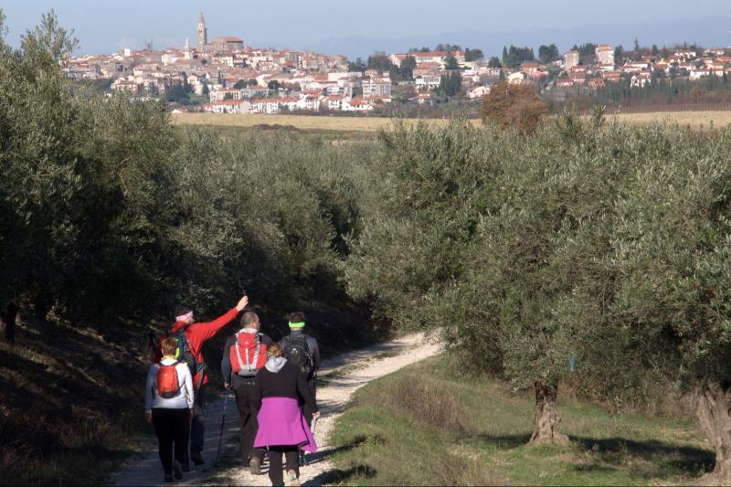 Enjoy walking and hiking
