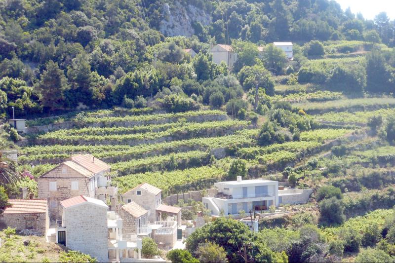 Samovođeno bicikliranje