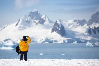 Adelie penguins, Petermann Island