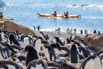 Your professional expedition team