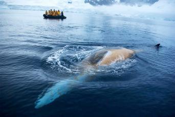 Humpback whale encounter!