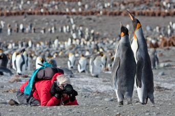 Amazing photographic opportunities