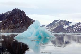 Mountains and Arctic ice