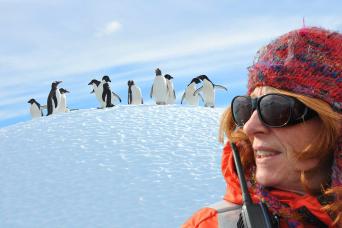 Meet the penguins in Antarctica!