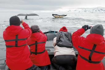 Look out for whales!