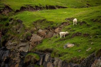 Amazing sea 'icescapes'