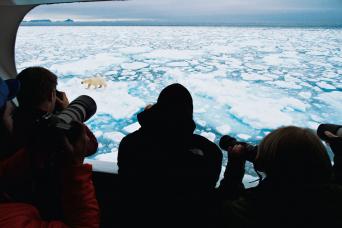 Keeping a constant watch for Arctic wildlife