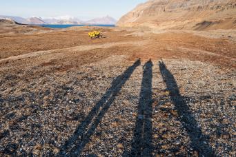 Humpback whales are frequently seen