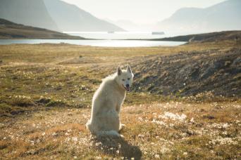 Your expert expedition team awaits