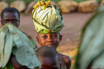 Gannet colony, Bonaventure Island