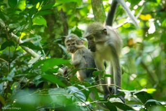 Hiking in Newfoundland