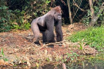Gros Morne National Park
