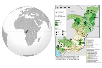 Canadian wildife cruise safari