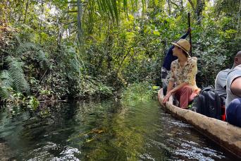 Humpback sightings are common