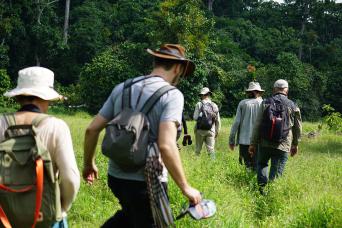 Sable Island wild horses