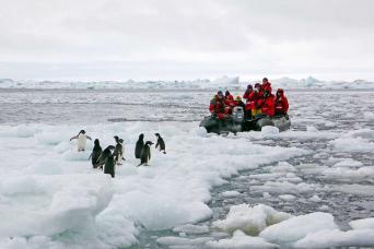 Zodiac excursions in Antarctica