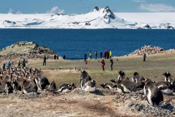 Making your first landing with the penguins
