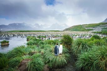 Photographer's paradise!