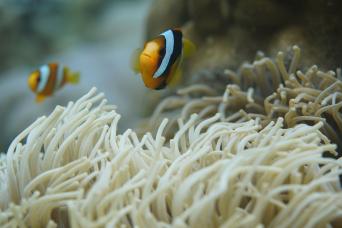 White church with a colorful slum, Guayaquil, Ecuador