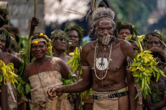 Group of wild Chilean Flamingos